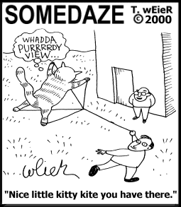 Somedaze Cartoon Installment